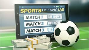 Exploring the Future of Betting with Viva Bet