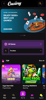 Exploring the Gaming Universe Casiny Casino